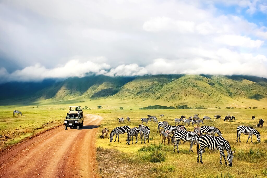 What is the Best Time to Visit Tanzania for a Safari?