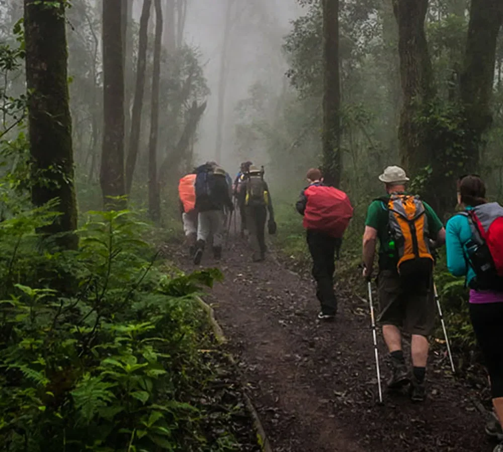 Days-Kilimanjaro-Hike