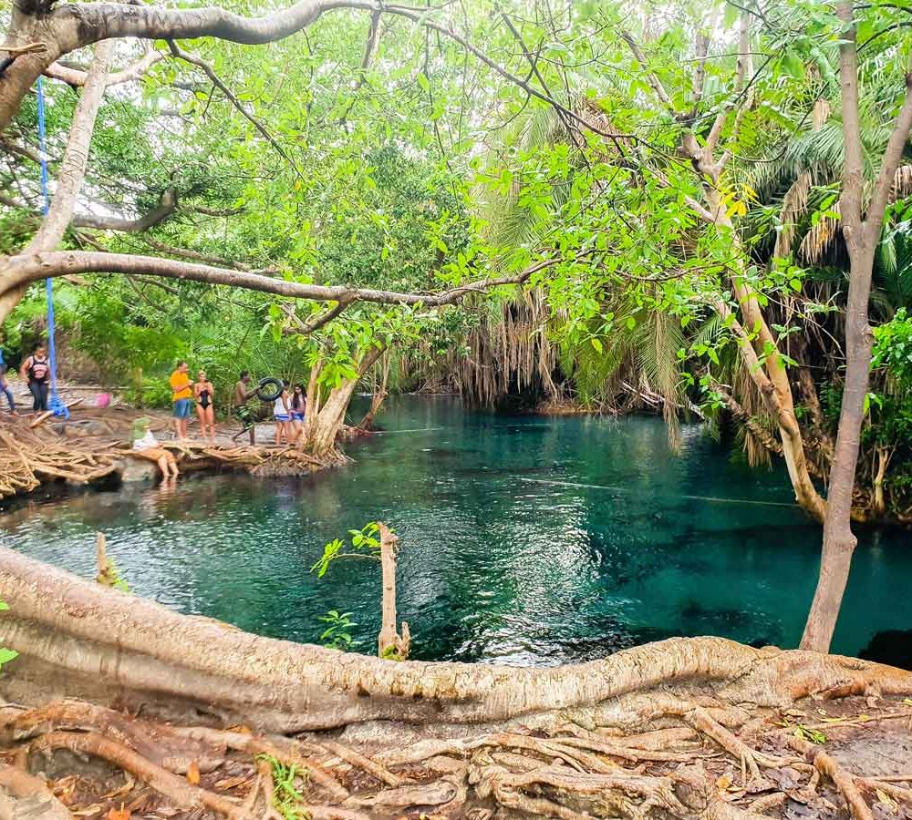 Kikuletwa hotsprings